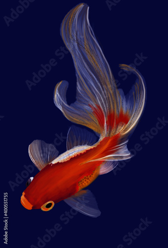 beautiful gold fish underwater animal