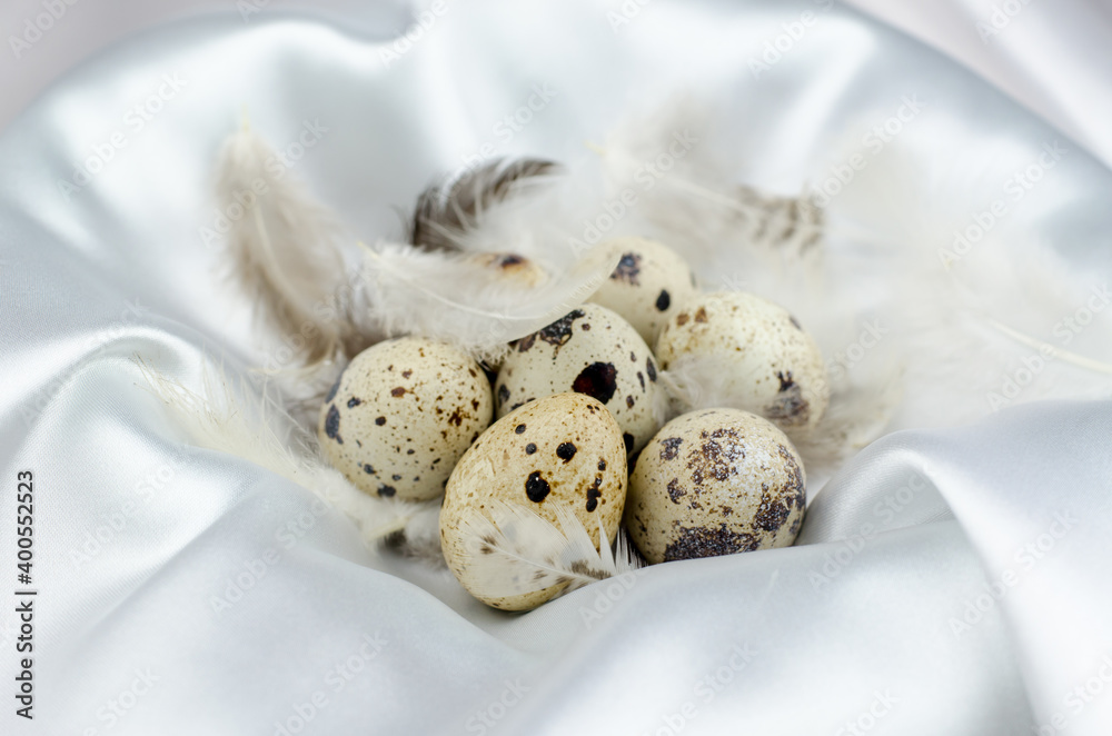 Quail eggs and feathers lie in the nest. Quail eggs in a silk nest. Quail eggs and feathers lie in the nest. Quail eggs in a silk nest.