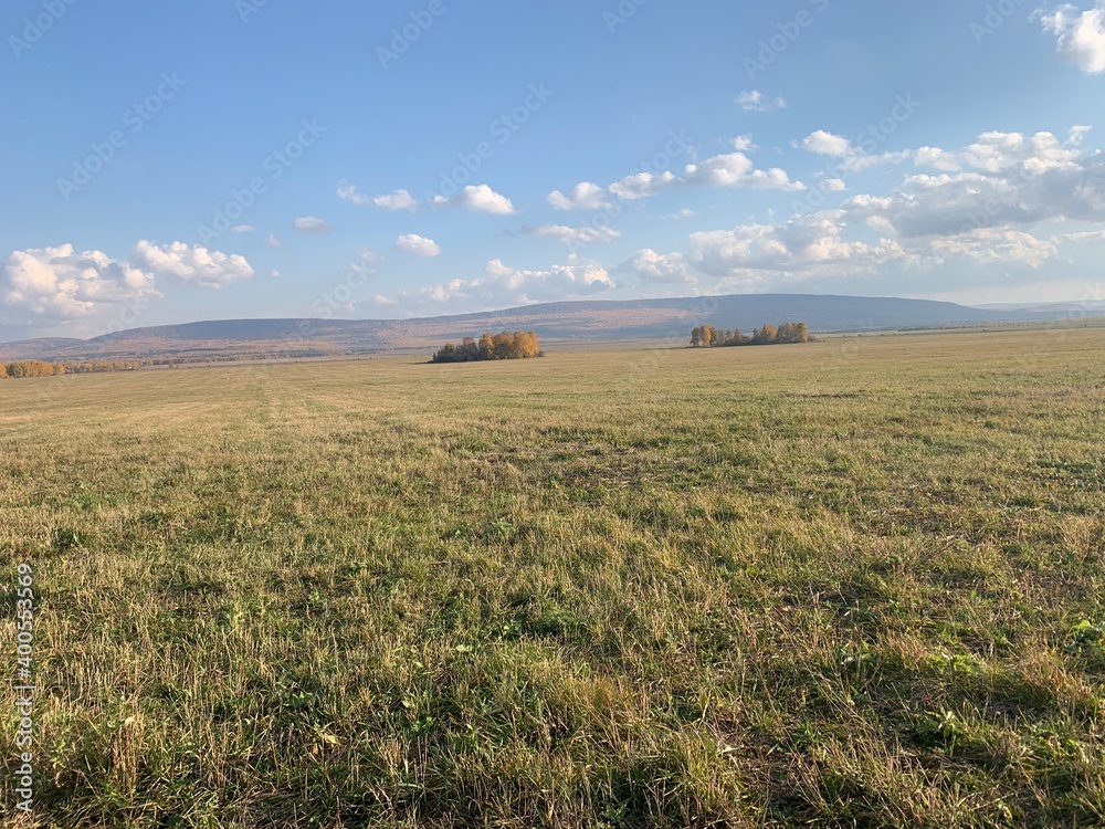 Fototapeta premium Endless field in autumn