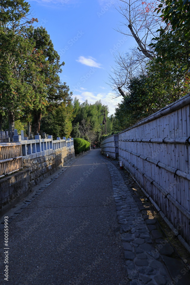 竹林の小道　嵐山　京都　日本