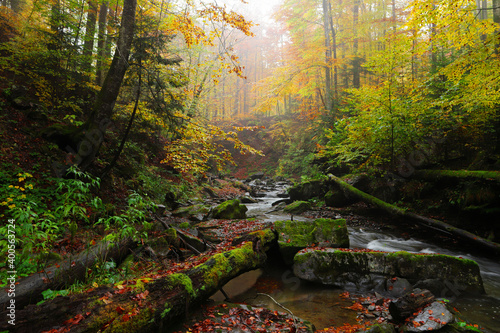 Fototapeta Naklejka Na Ścianę i Meble -  Waterfall in the autumn beech forest.