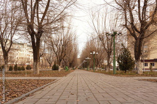 Alley in the fall. Alley of the square. Autumn trees without leaves. Paving slabs. Alley in perspective. Fallen leaves on the ground. Late autumn in the city © Эльвира Турсынбаева