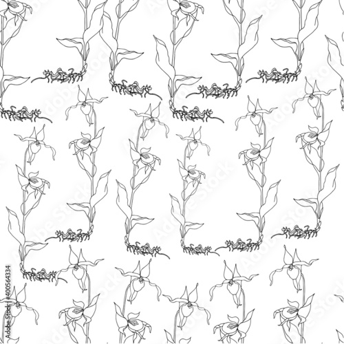 Lady s-slipper orchid seamless pattern ink sketch art design elements stock vector illustration for web  for print  for gardening design  for product design  for packing design