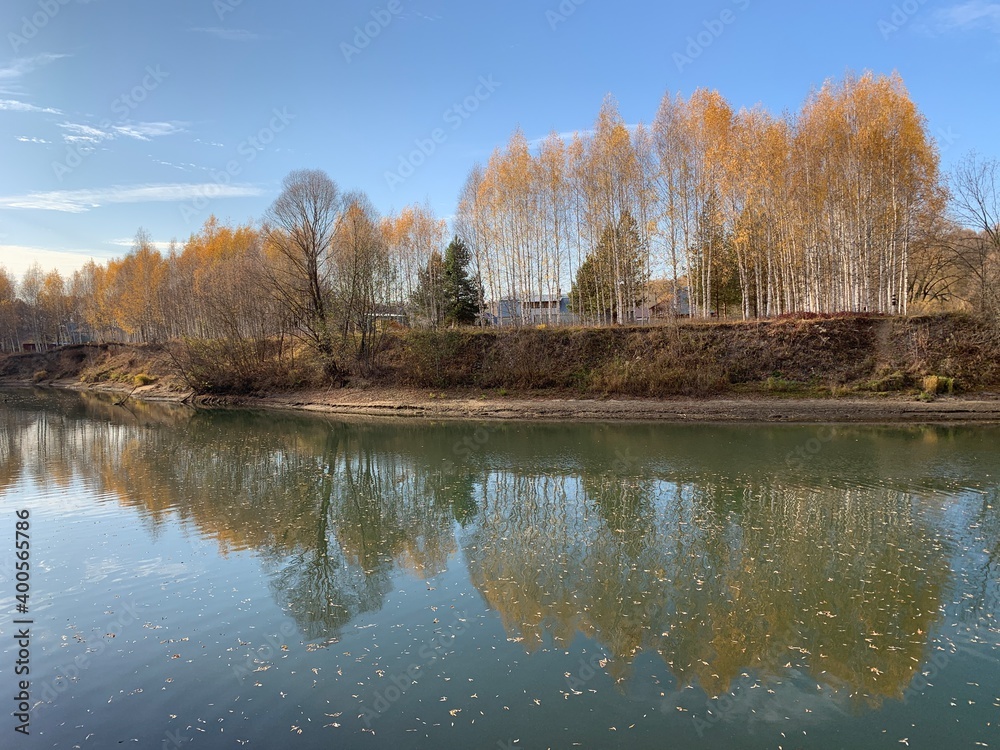 Obraz premium Lake in a forest
