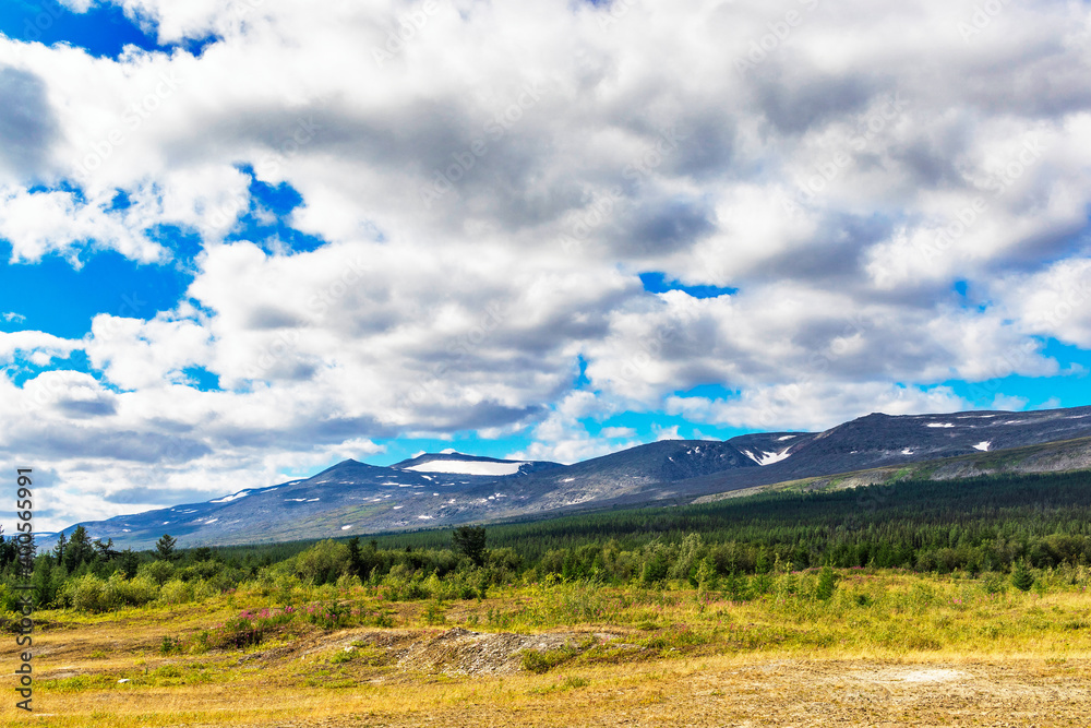 subpolar forest and mountains in the urals on a summer day