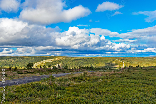 northern tundra and taiga in the distance on a summer day