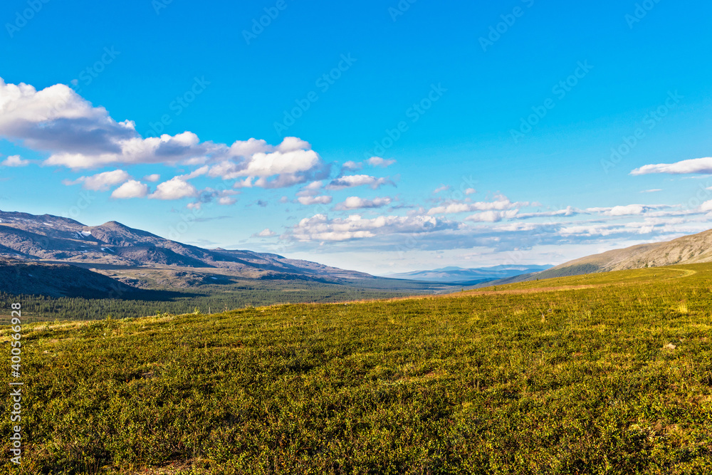 mountains in the subpolar urals on a sunny summer day