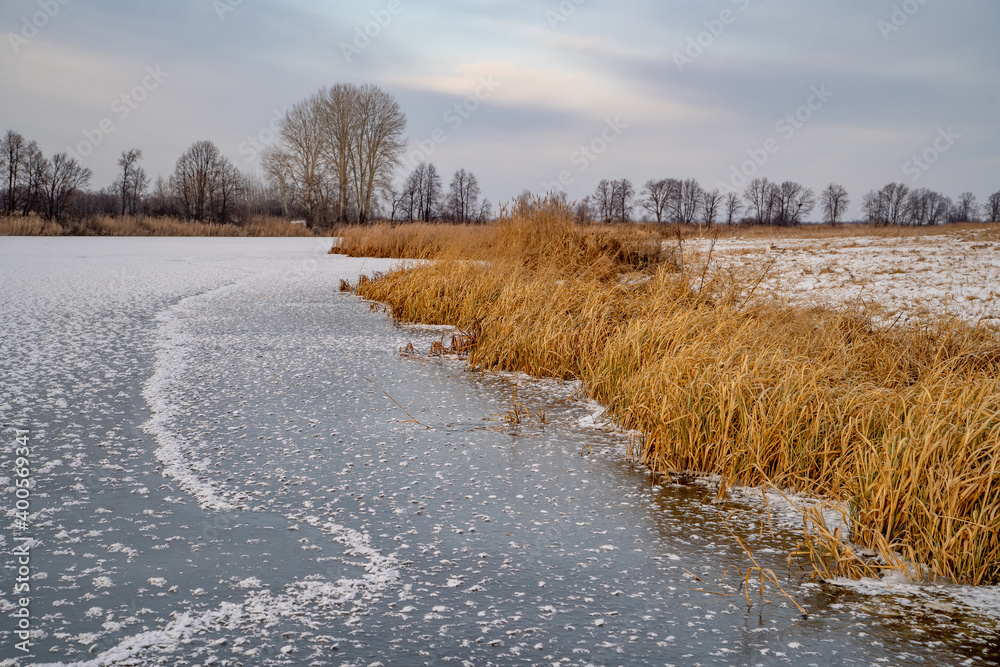 Transparent ice on the lake with snowflakes in the form of stars. On the shore there is yellow frozen grass. Transparent ice on the lake with snowflakes in the form of stars. On the shore there is yellow frozen grass.