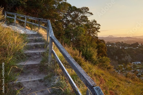 Stairs of a walking track  Kohi Piont  Whakatane  New Zealand