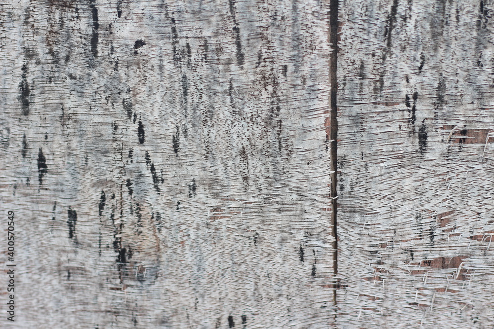 old wood texture background, copy space. old wood texture background, copy space.