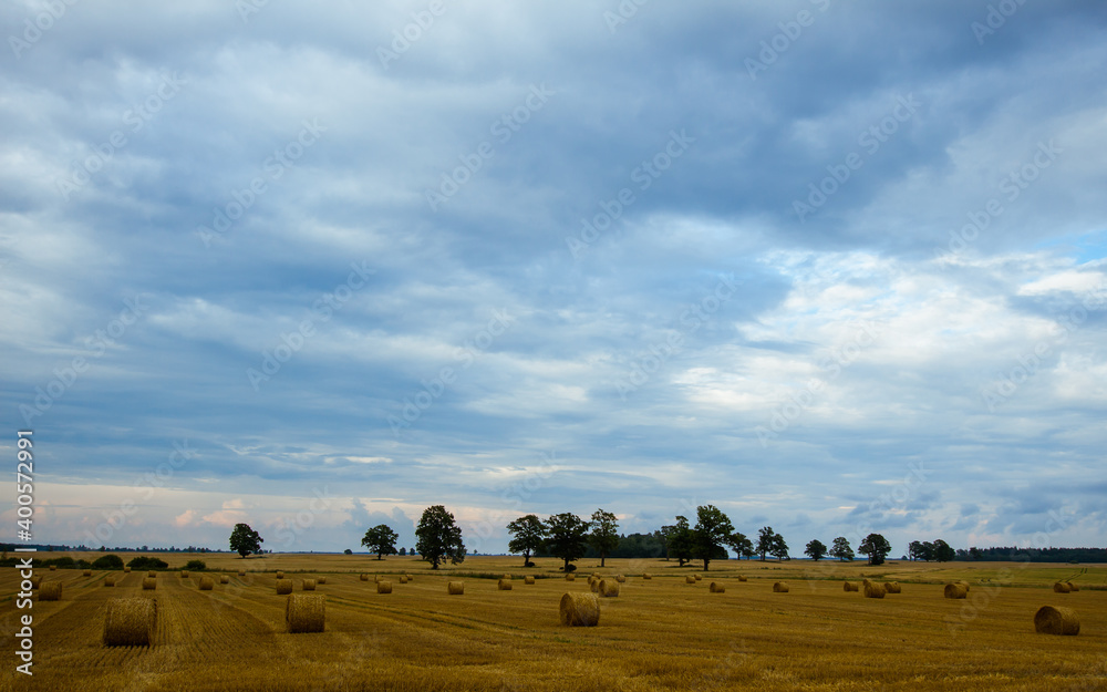 Wheat field landscape with hay and straw bales Wheat field landscape with hay and straw bales