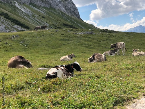 von Mittenwald Scharnitz Bayern durch das Karwendeltal ins Karwendelhaus