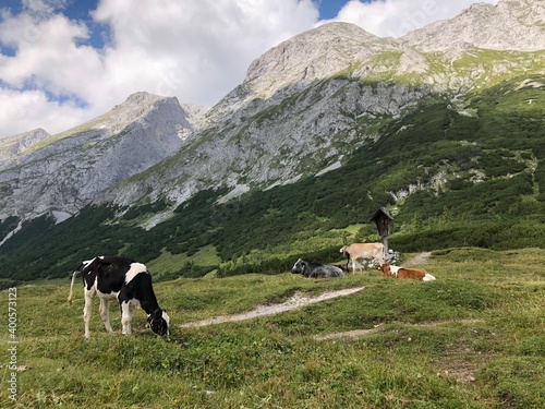 von Mittenwald Scharnitz Bayern durch das Karwendeltal ins Karwendelhaus photo