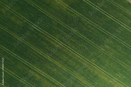 Green agricultural field from above. Diagonal pattern of green stripes. View aerial photo from flying drone.