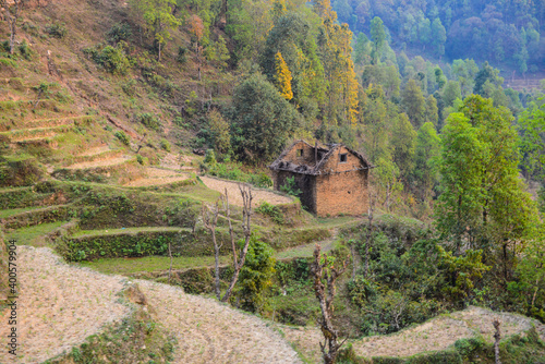 Terraces of rice fields and terraces of rice fields and abandoned kathmandu farmer's house