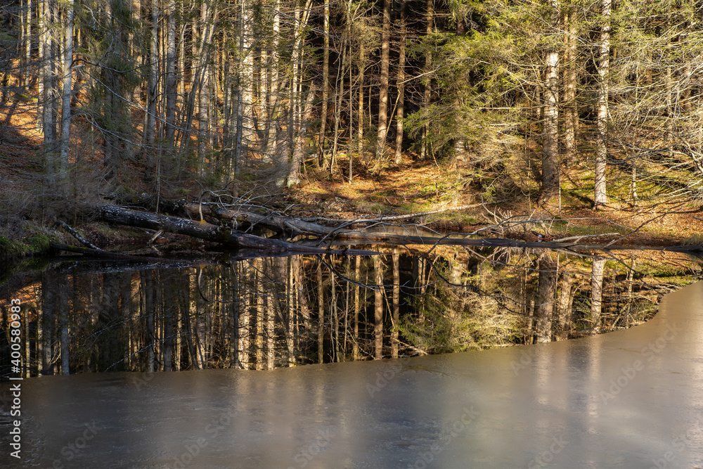 Rachel | Bayerischer Wald | Nationalpark | Wandern | Wanderweg Rachel | Bayerischer Wald | Nationalpark | Wandern | Wanderweg