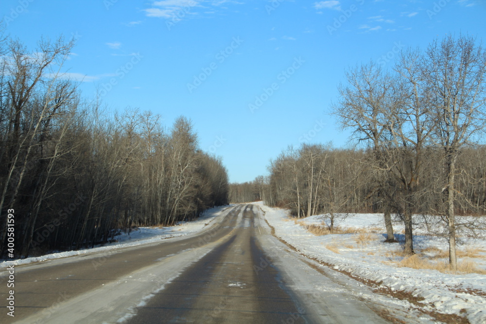 On The Road Again, Elk Island National Park, Alberta On The Road Again, Elk Island National Park, Alberta