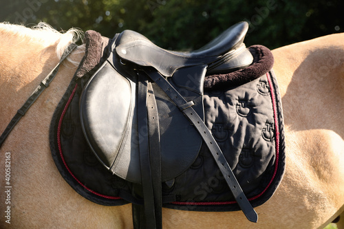 Leather saddle with stirrups on horse, closeup