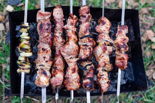 shish kebab and onion rings are cooked on skewers in the grill