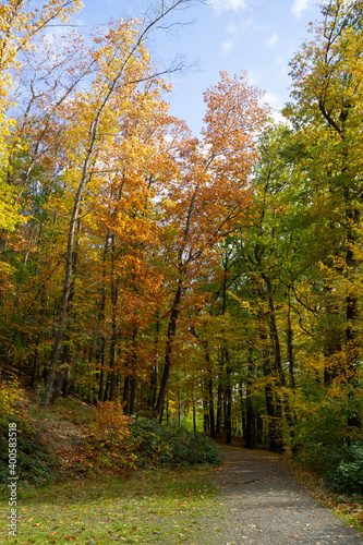 Weg durch den Herbstwald, Elsebachtal, Schwerte, Nordrhein-Westfalen, Deutschland, Europa © lichtbildmaster