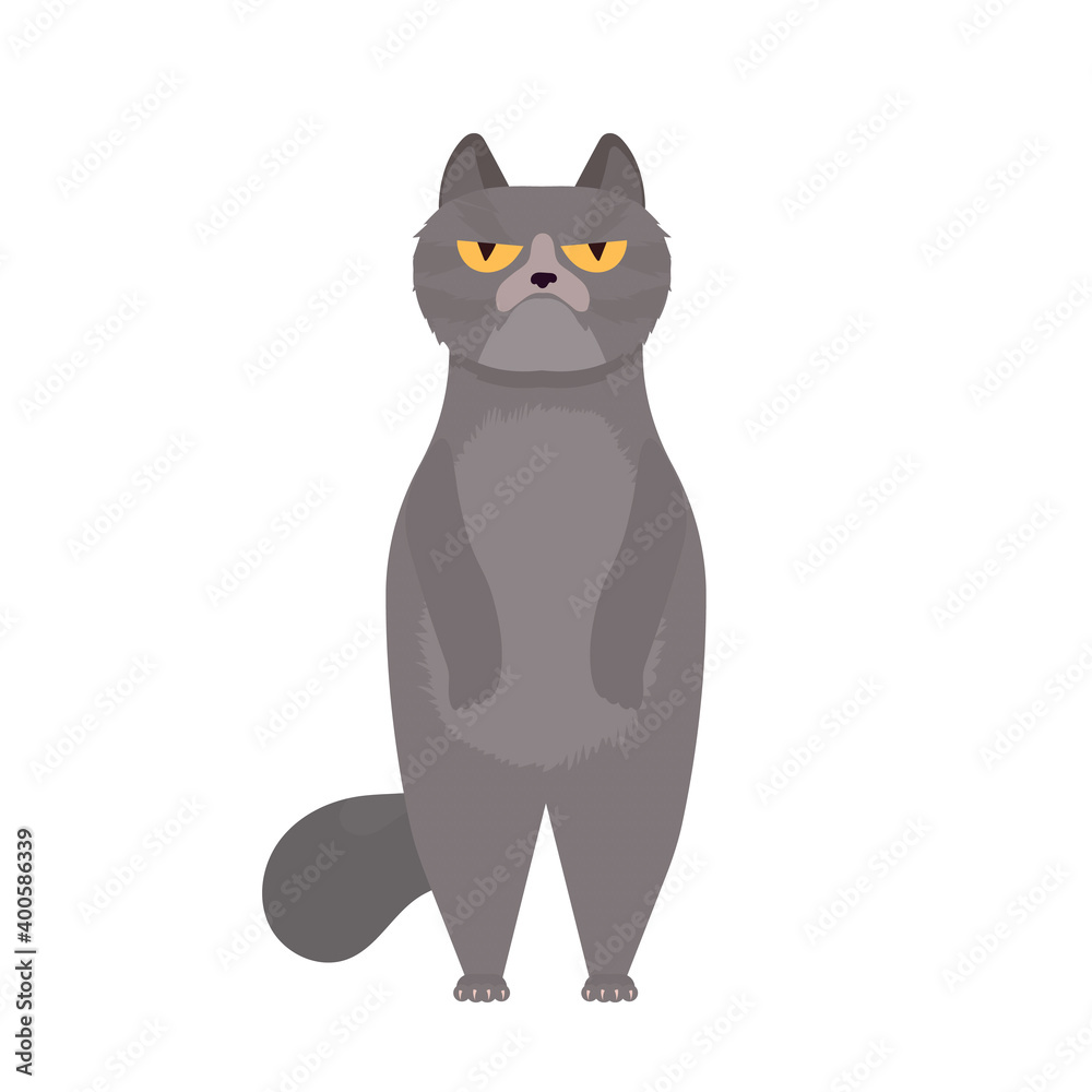 A funny gray cat stands on its hind legs. Isolated. Vector. A funny gray cat stands on its hind legs. Isolated. Vector.
