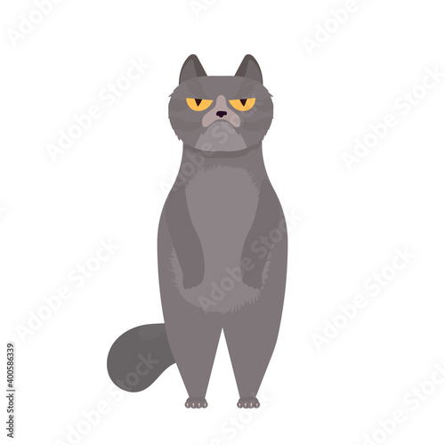 A funny gray cat stands on its hind legs. Isolated. Vector.
