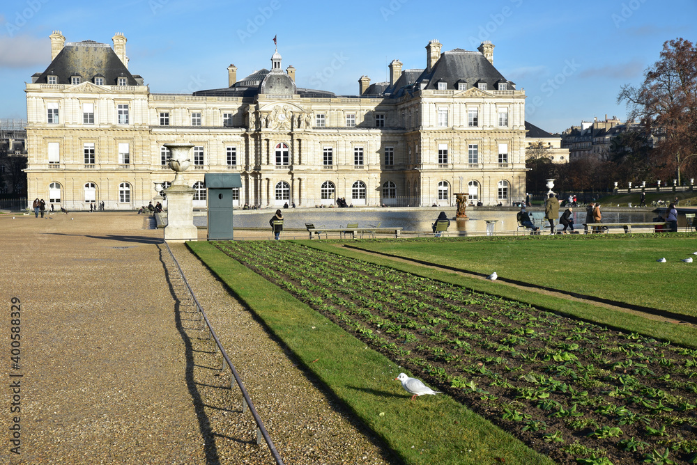 Jardin du Luxembourg en hiver à Paris, France