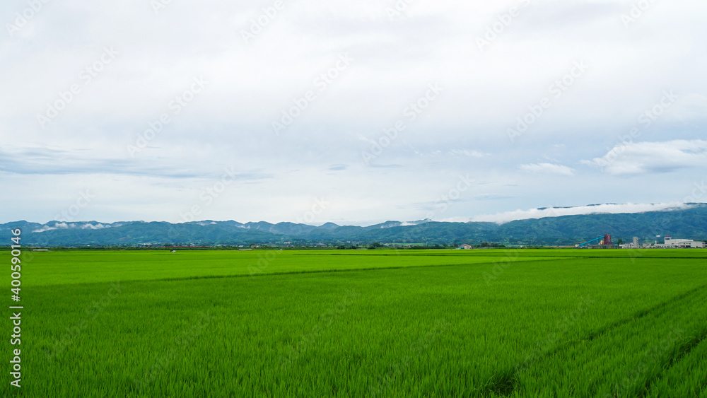 一面に広がる美しい緑の稲と田んぼを囲む山々