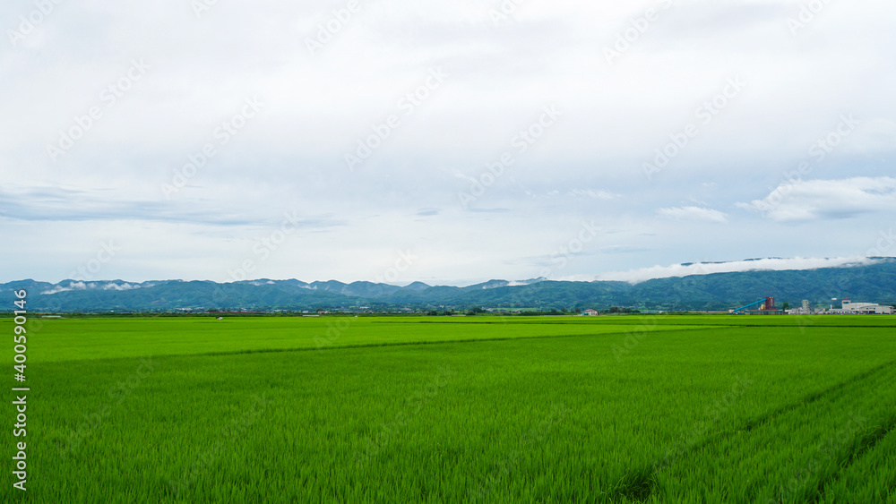 Naklejka premium 一面に広がる美しい緑の稲と田んぼを囲む山々