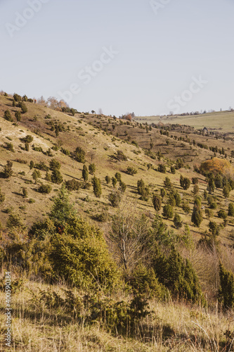 Der Alpen- und Jägerpfad am Hohen Dörnberg in Nordhessen