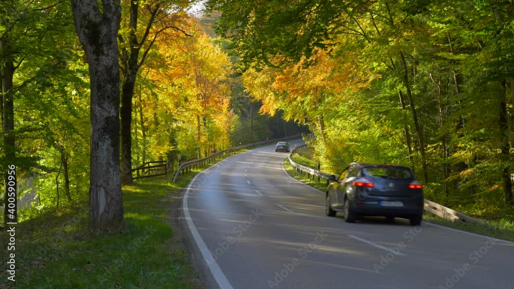 Country road through forest in autumn, Bavaria, Germany