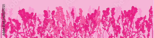 blossoming grass stripe isolated on pink
