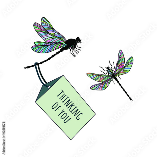 Thinking of you - card.  Dragonfly Vector stock illustration eps10.