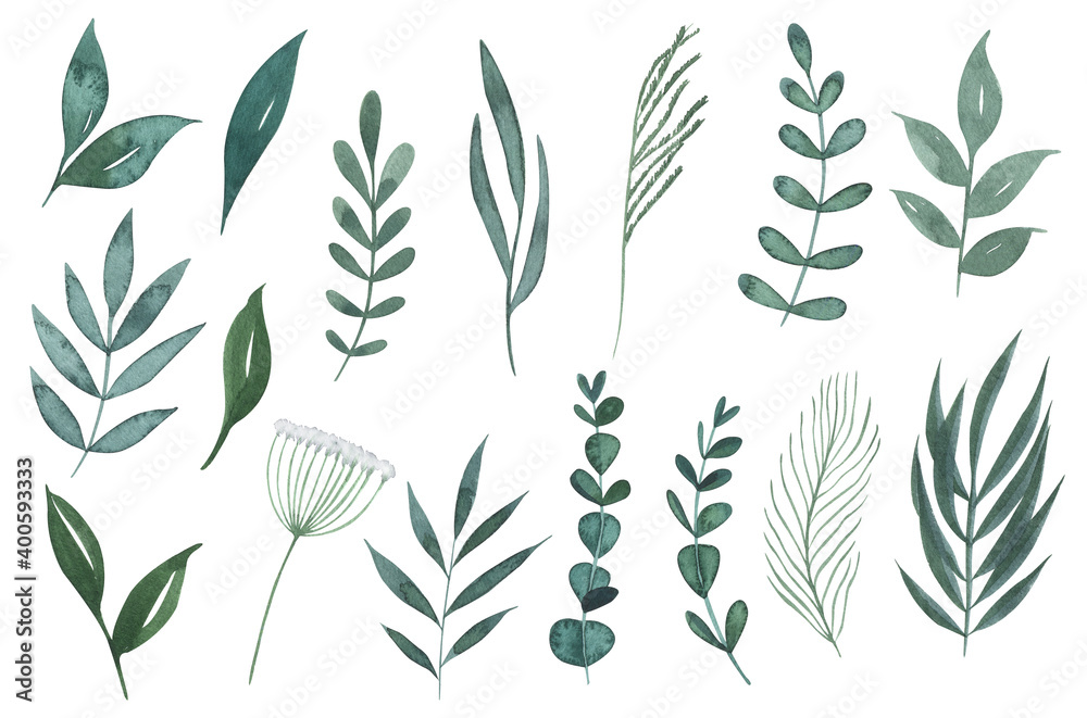 Watercolor green leaves set. Collection of hand drawn greenery illustrations perfect for wedding invitation, greeting cards and other. Watercolor green leaves set. Collection of hand drawn greenery illustrations perfect for wedding invitation, greeting cards and other.