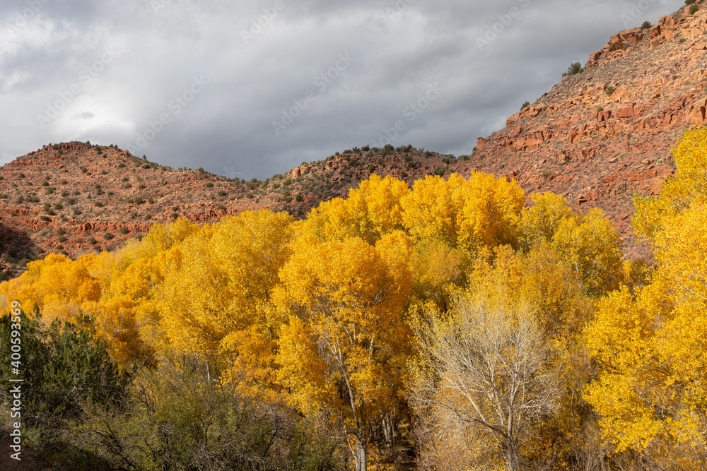 Verde River Canyon Arizona Autumn Landscape