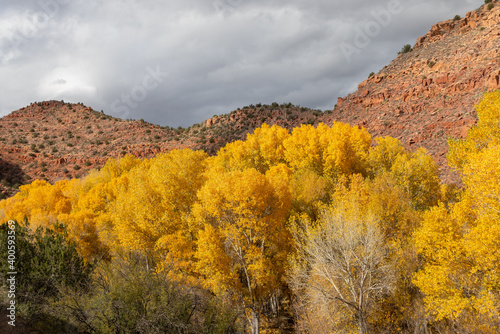 Verde River Canyon Arizona Autumn Landscape