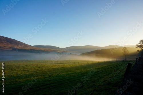 Misty morning