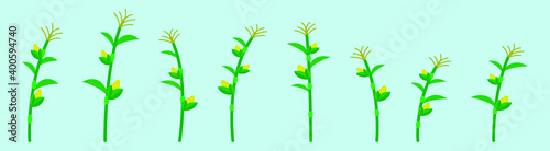 set of corn stalks cartoon icon design template with various models. vector illustration isolated on blue background