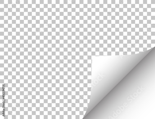 Paper with a curled edge. Vector illustration.