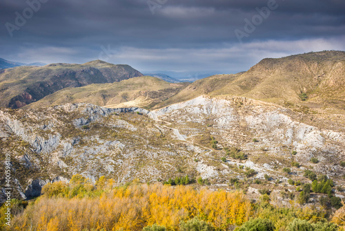 path on the hill of launa and poplars photo