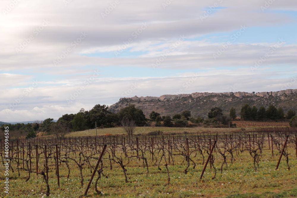 Fototapeta premium paysage