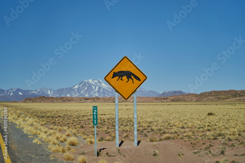 black and yellow road sign standing next to the street in Chile at the panamerican highway, warning of a Fox or Coyote, and asking to pay attention and caution photo