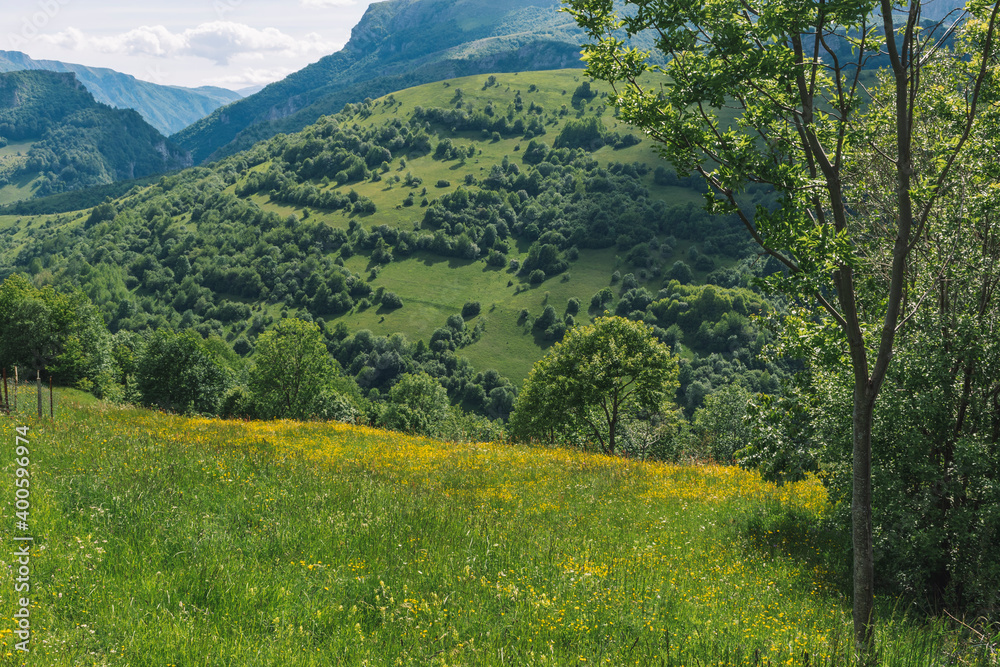 spring in the mountains