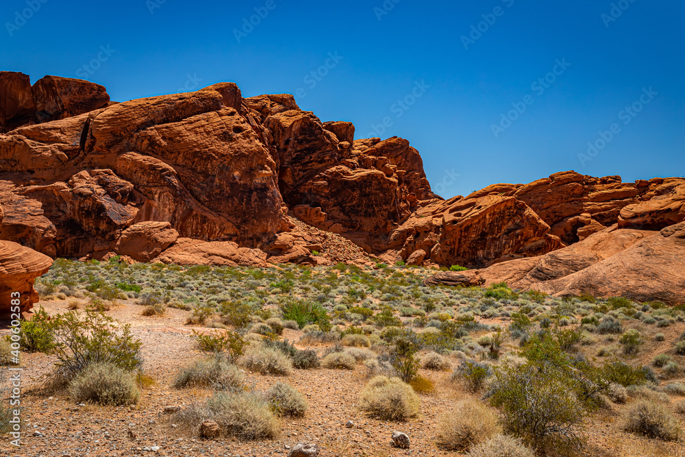 Fototapeta premium Valley of Fire State Park