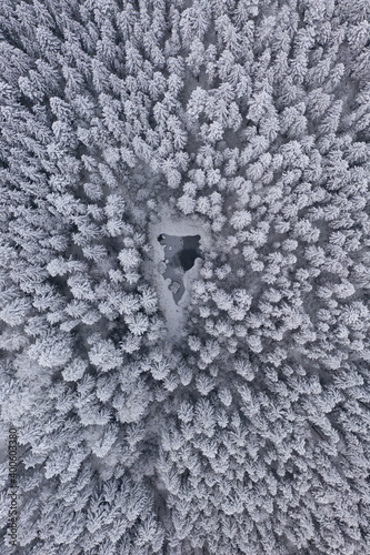 Luftbild eines schneebedeckten Nadelwalds in Draufsicht mit kleinem blauen Tümpel