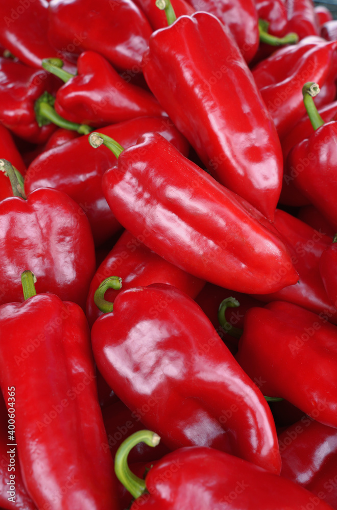 Ripe bell peppers as a background. Harvest of red bell peppers