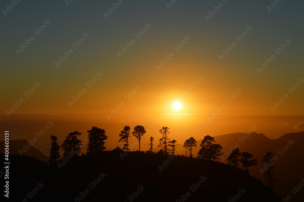 High-contrast silhouette of trees in mountain during sunset above the clouds.