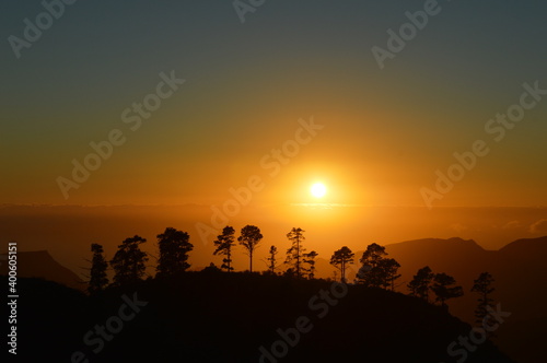 High-contrast silhouette of trees in mountain during sunset above the clouds.