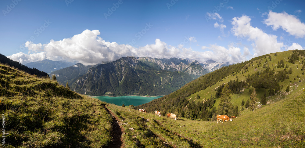 Naklejka premium Mountain panorama view to Achensee lake, Tyrol, Austria