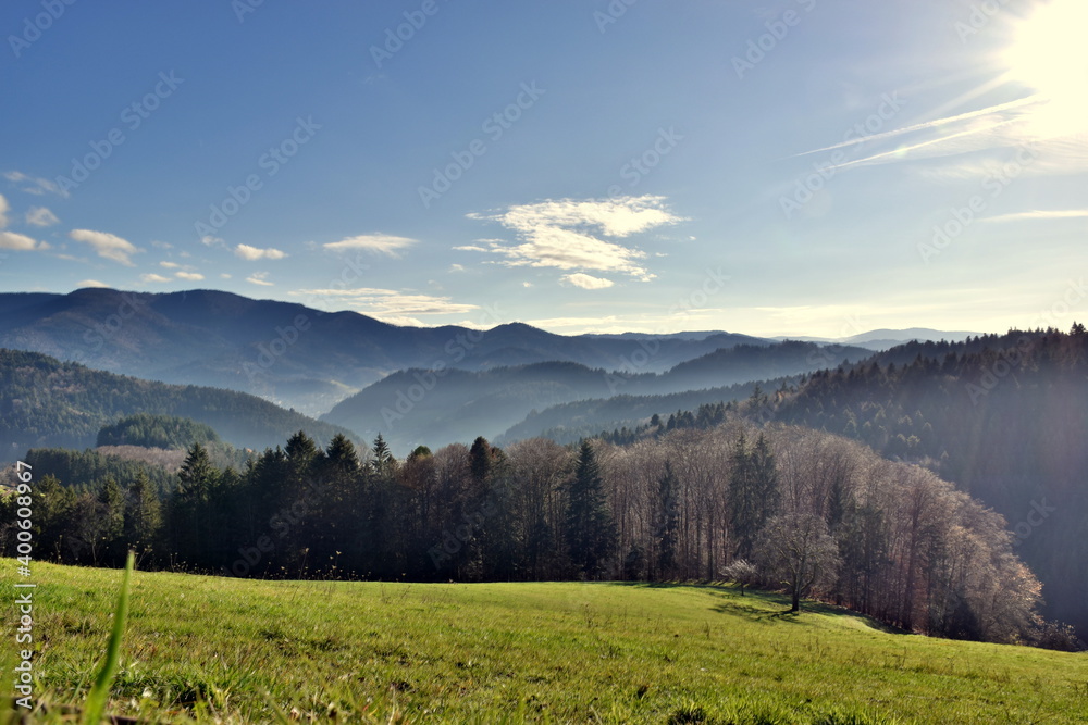 Fototapeta premium Schwarzwaldlandschaft in Freiamt bei Freiburg